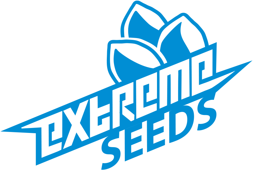 https://extreme-seeds-eg.com/